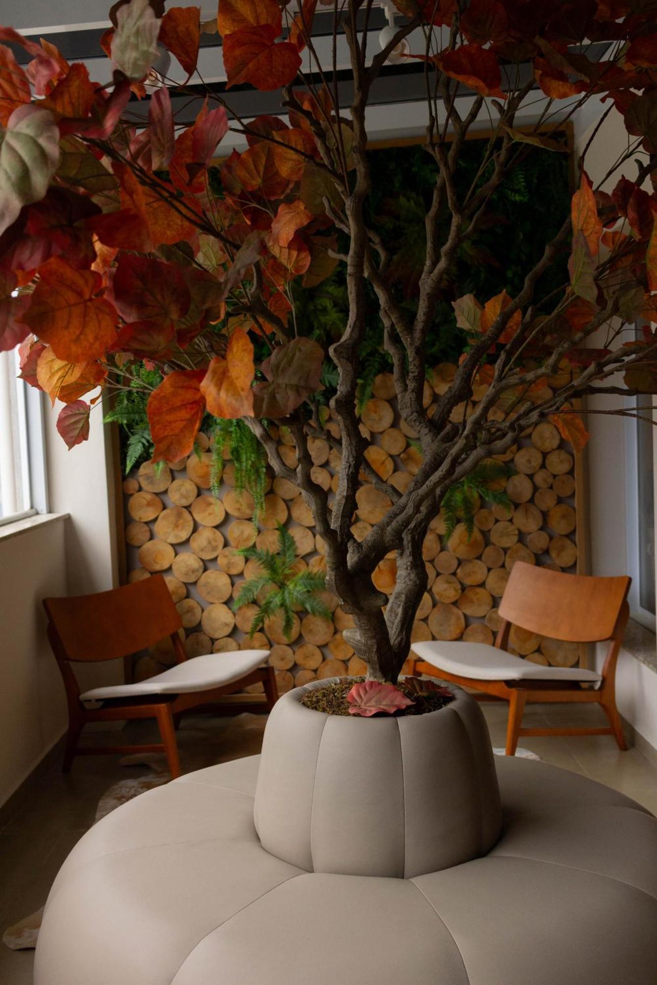 Hotel Champet Boutique *